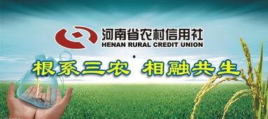 河南省农信社最新爆料,揭秘金融创新与风险防控新动态 第3张 河南省农信社最新爆料,揭秘金融创新与风险防控新动态 第3张